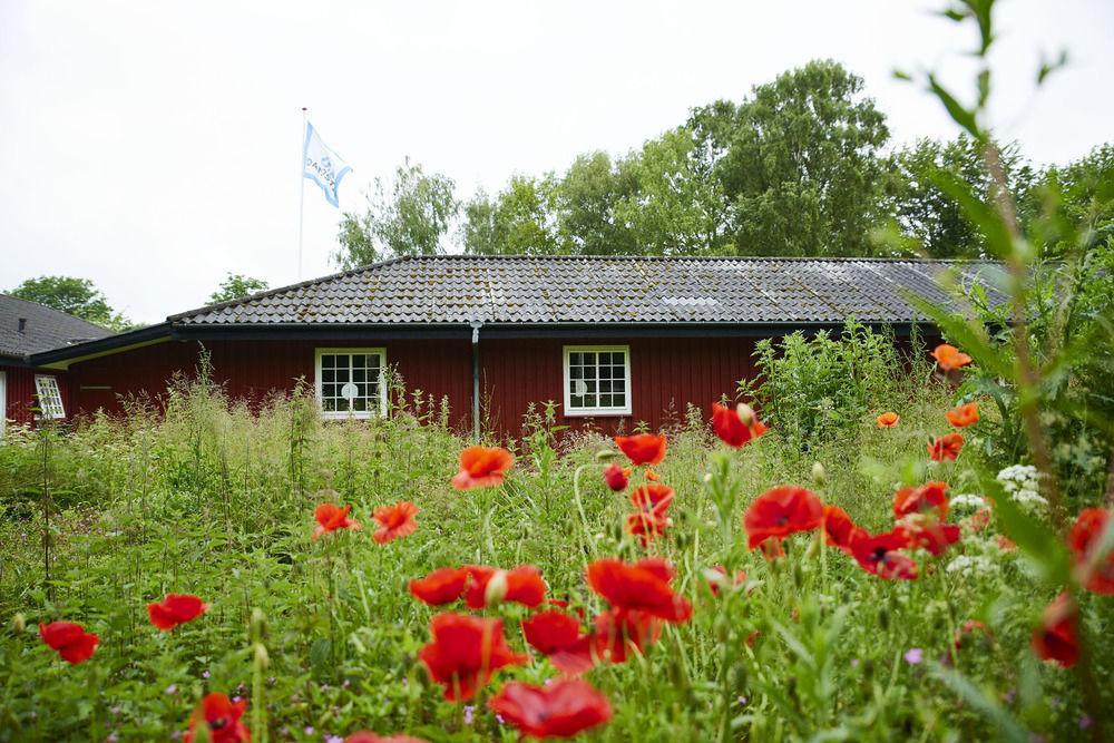 Kerteminde Hostel 외부 사진